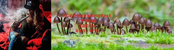 MESCALINE Абинск