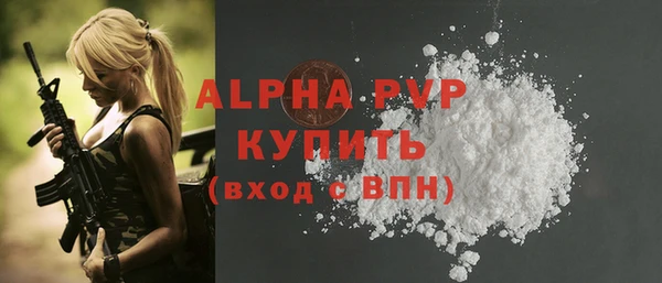 крисы Абаза