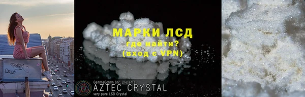 крисы Абаза
