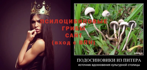 крисы Абаза